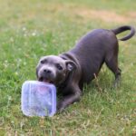 Tupperware Pleite: Wie es dazu kam und was jetzt passiert