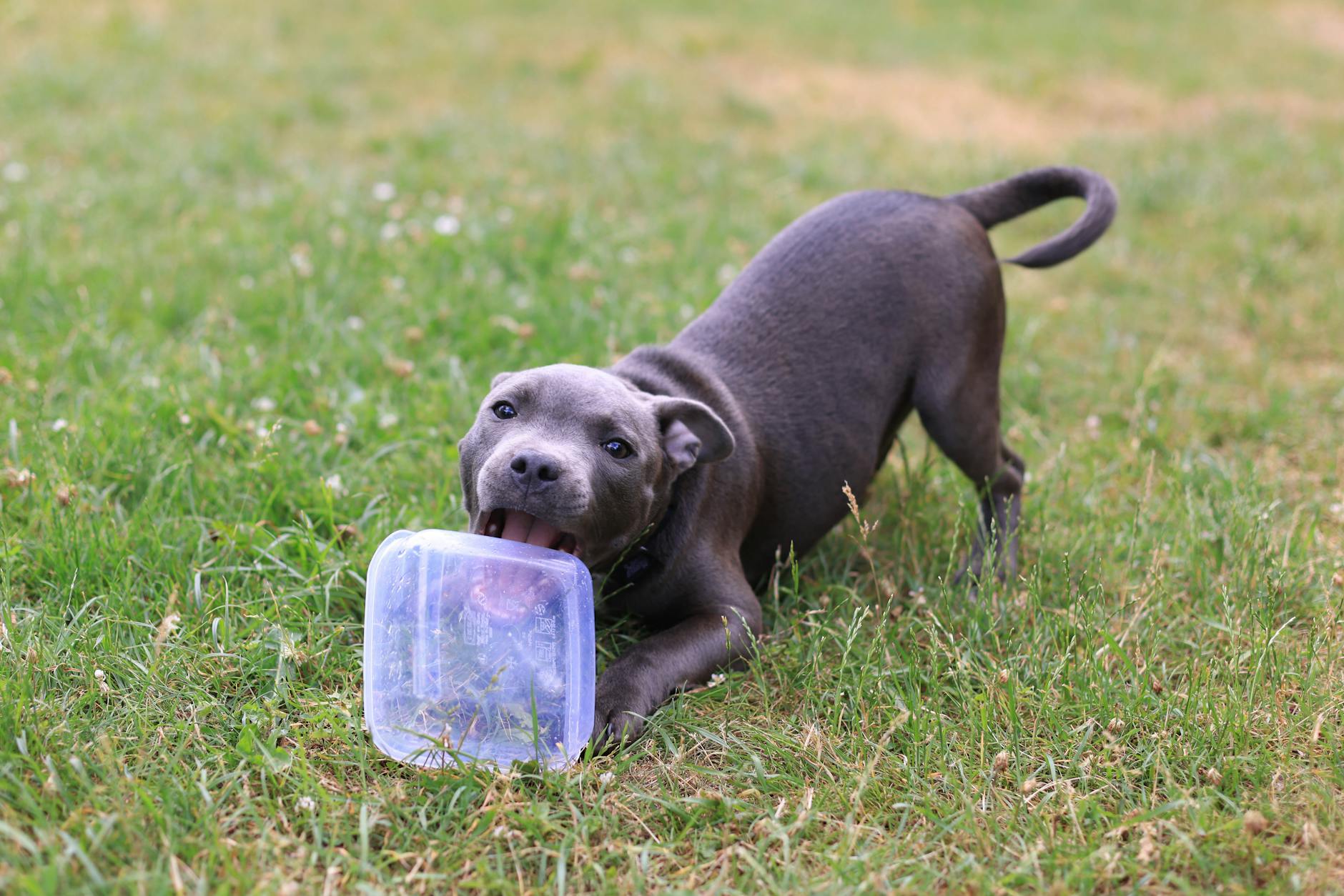 Tupperware Pleite: Wie es dazu kam und was jetzt passiert
